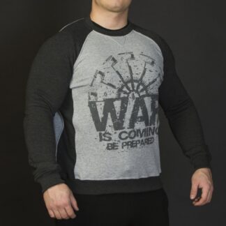 Reglan War серый/антрацит